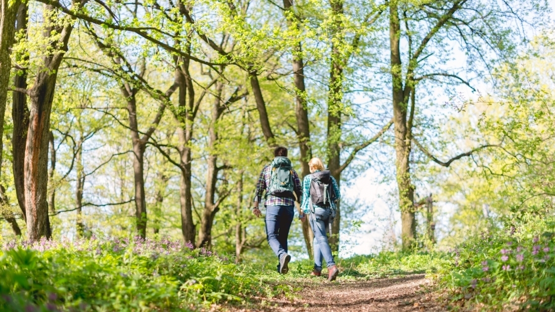 Randonn&eacute;es moulay 53